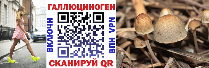 Купить где  Палласовка  Псилоцибиновые грибы Magic Shrooms 